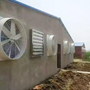 養殖黄瓜官网入口的有益效果與工作原理簡介