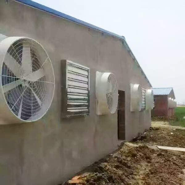 畜牧黄瓜官网入口
